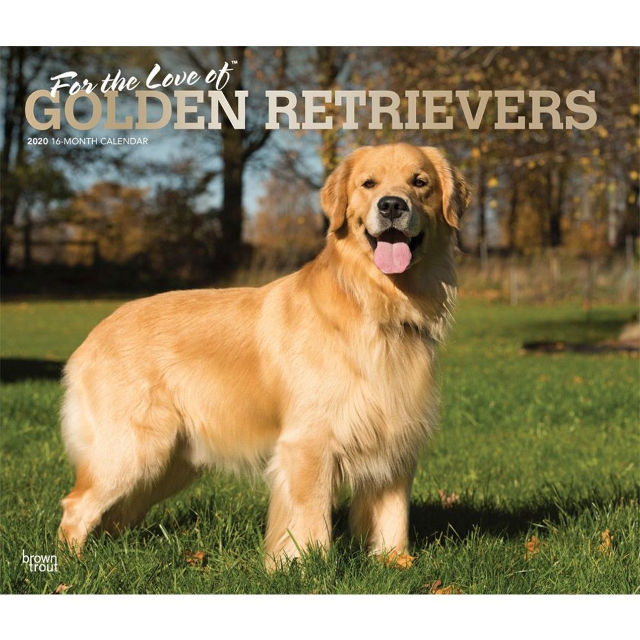 Golden Retrievers Deluxe Wall Calendar Golden Retriever By