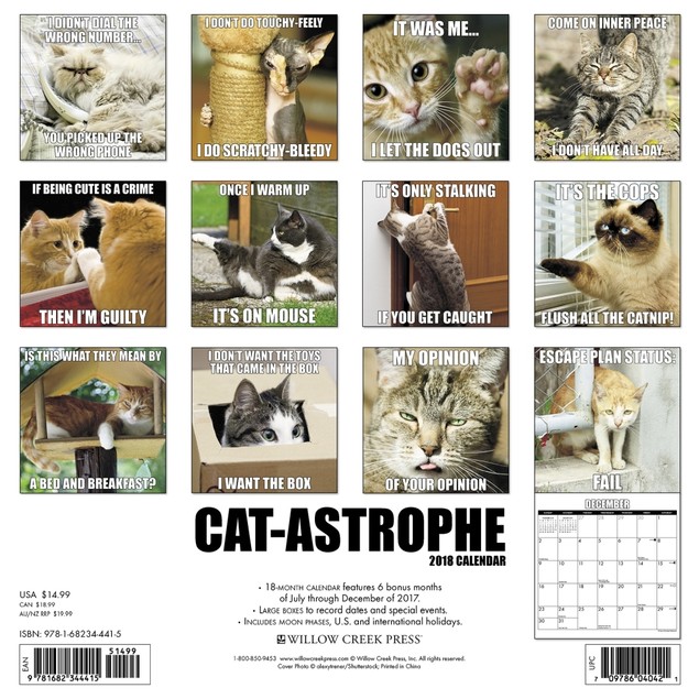 CatAstrophe Wall Calendar, Funny Cats by Calendars Tanga